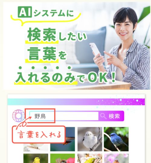 フラットワークは詐欺か